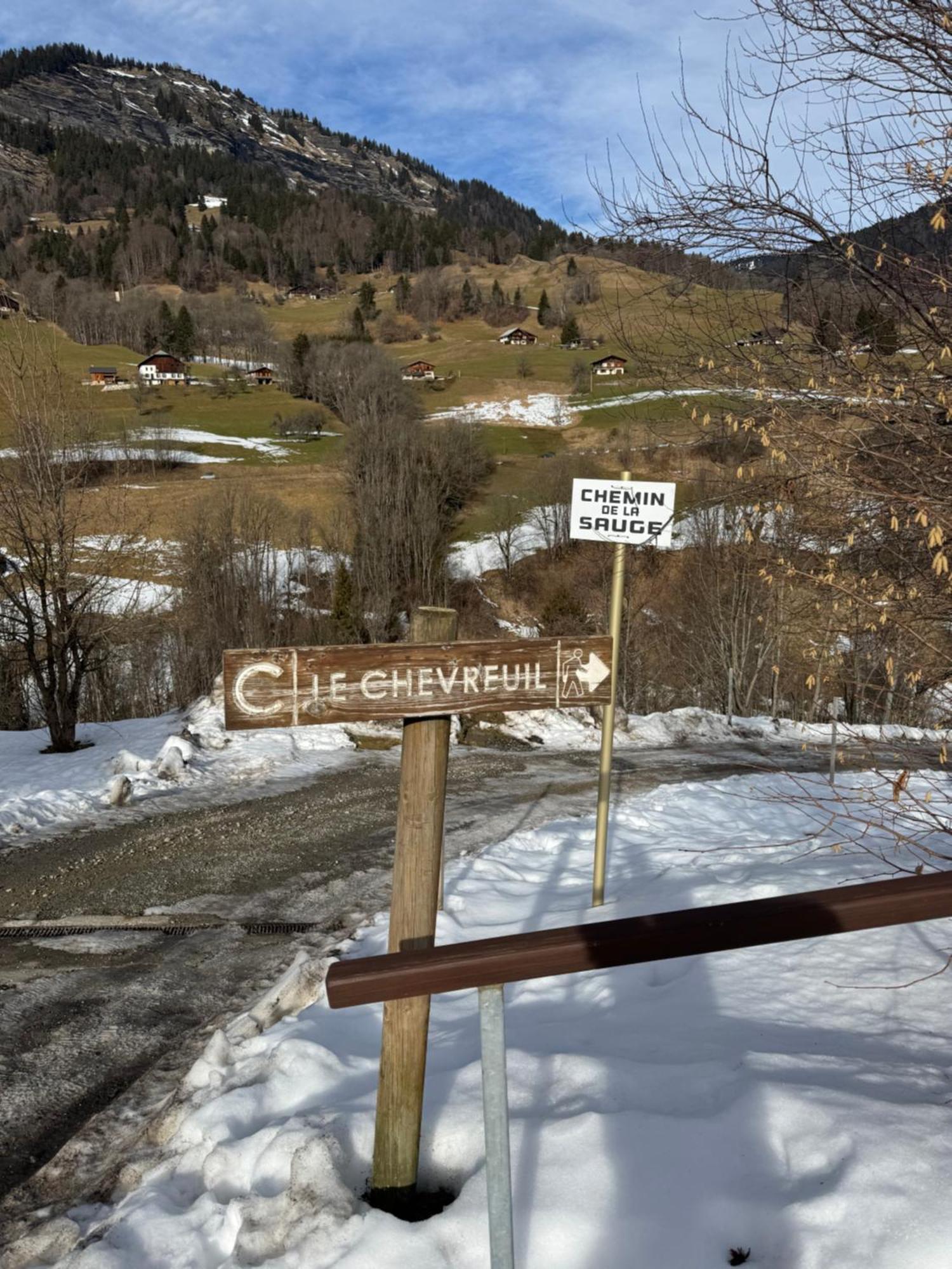 Piste Verte Flumet Eksteriør billede